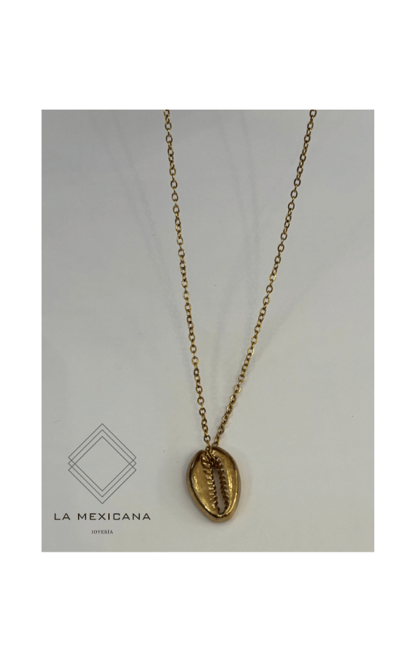 Brisa Puerto Escondido