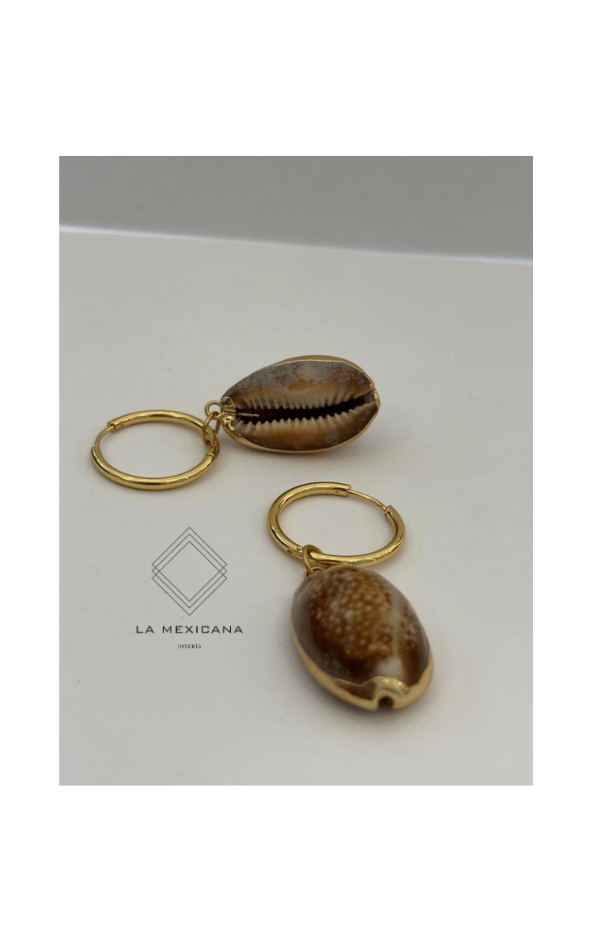 Brisa de la Laguna de Coyuca