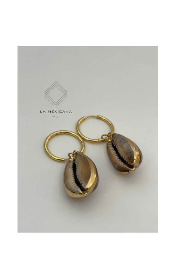 Brisa de la Laguna de Coyuca