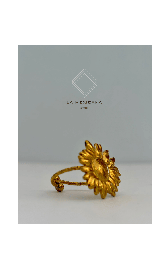 Alma de Chihuahua