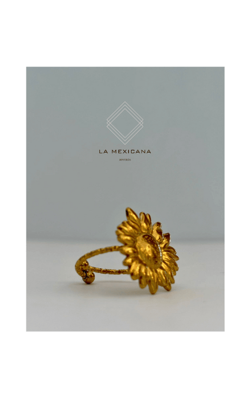 Alma de Chihuahua