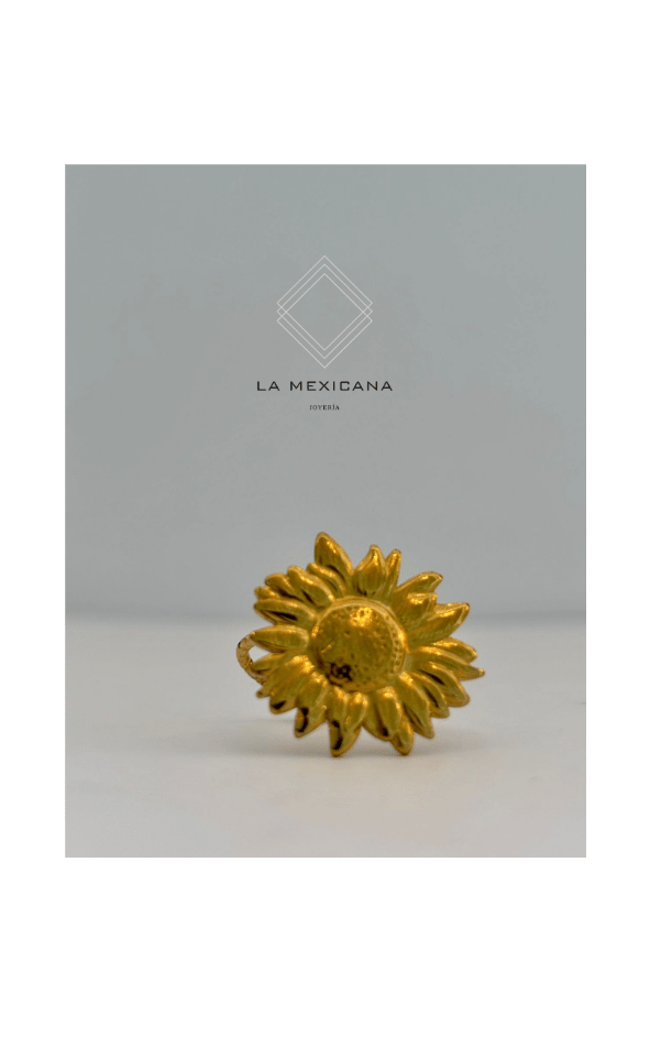 Alma de Chihuahua
