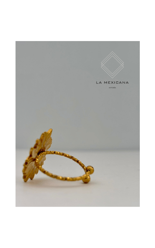Alma de Chihuahua