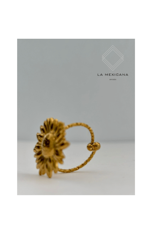 Alma de Chihuahua