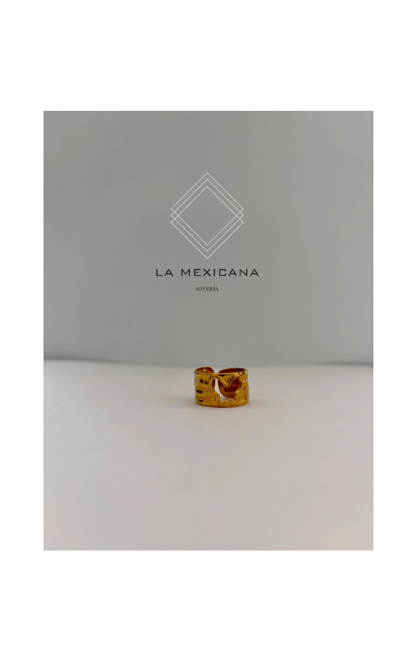 Mariposa de Michoacán