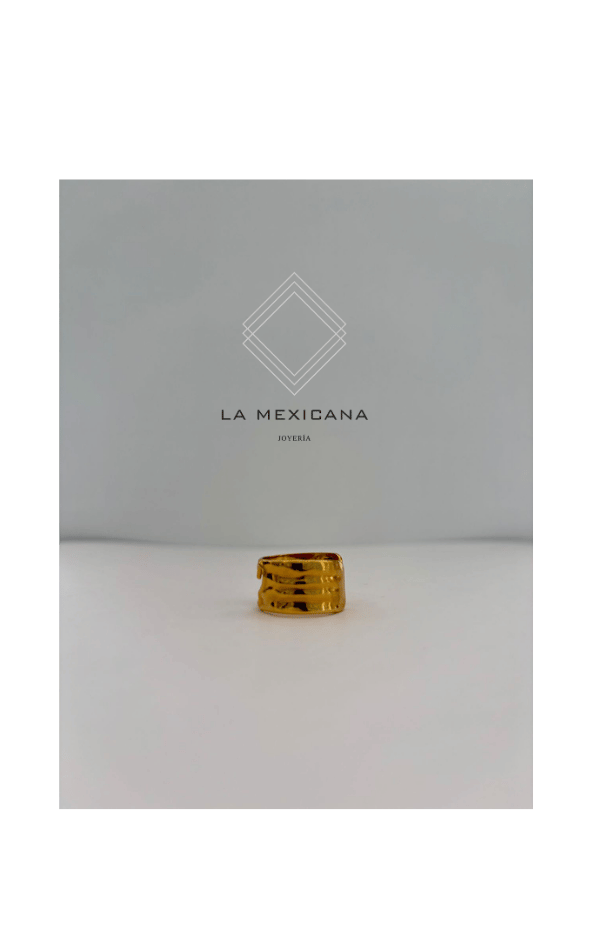 Mariposa de Michoacán
