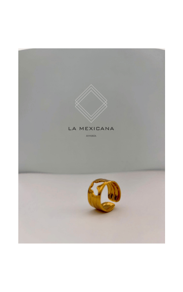 Mariposa de Michoacán
