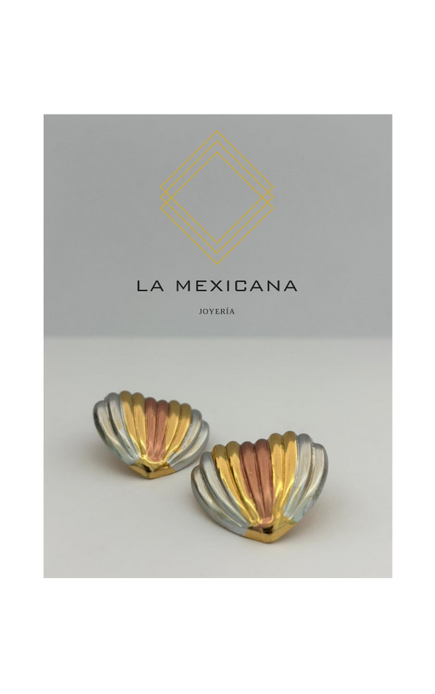 Corazón Mestizo