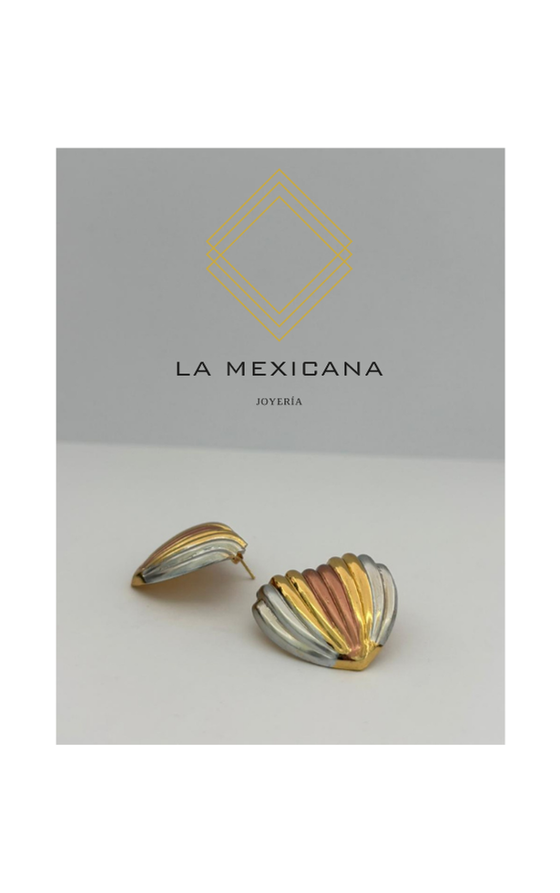 Corazón Mestizo